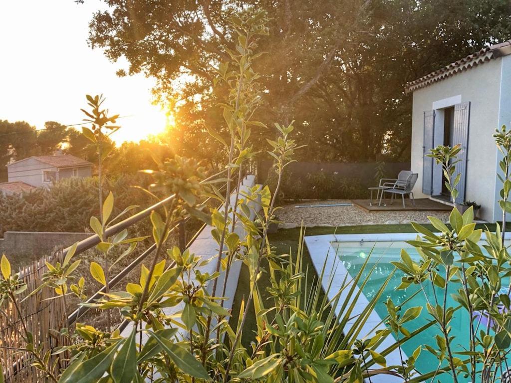Abelha En Provence *